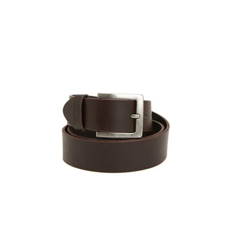 Brown Belt Brown Belt