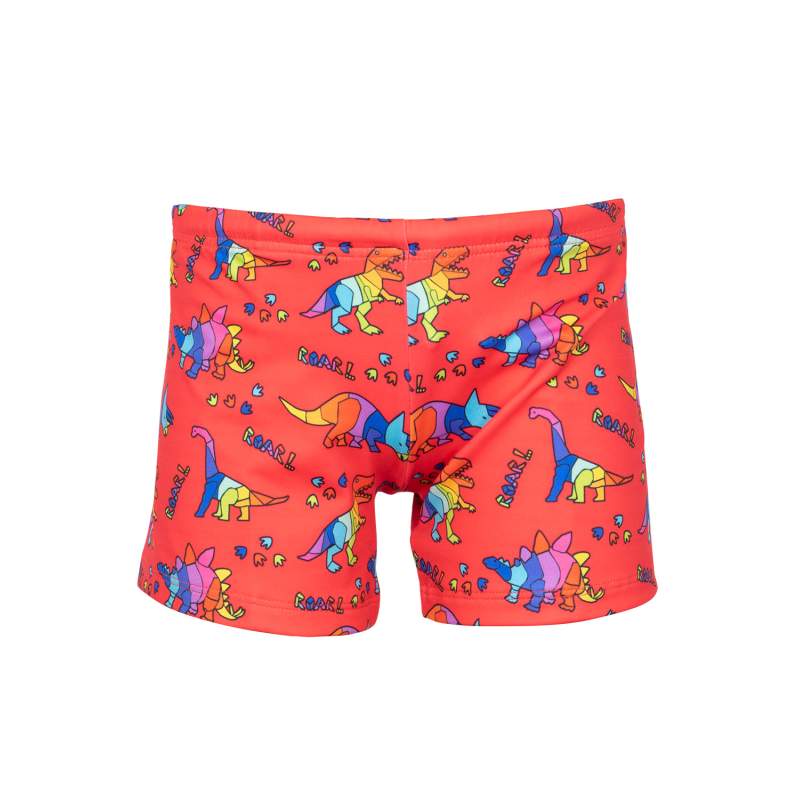 Colors Dinosaur Patterned Kids Shorts Swimsuit
