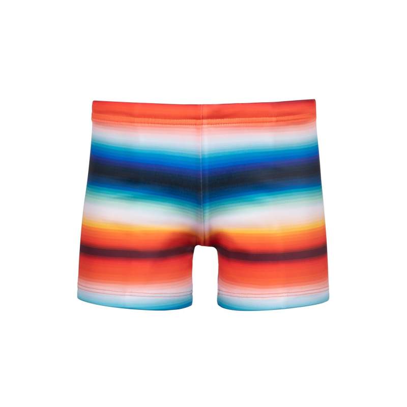 Arizona Boys Striped Shorts Swimwear