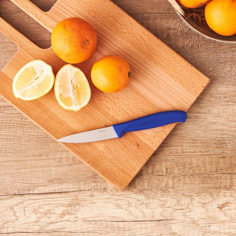 Dr. Inox Paring Knife Blue Small