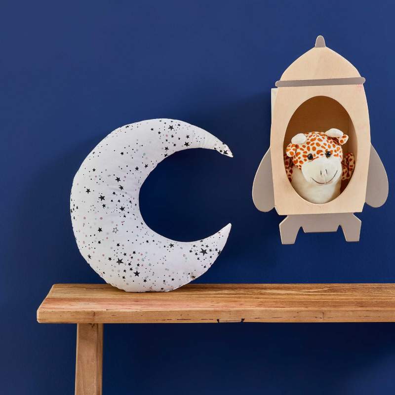 Sarah Anderson Moon 3D Filled Pillow