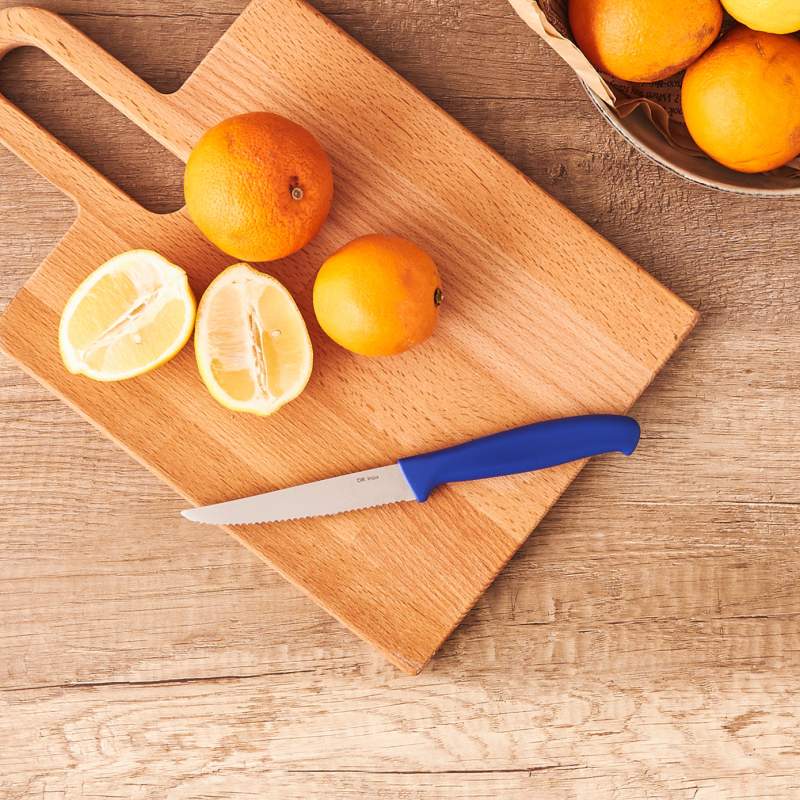 Dr. Inox Steak Knife Blue