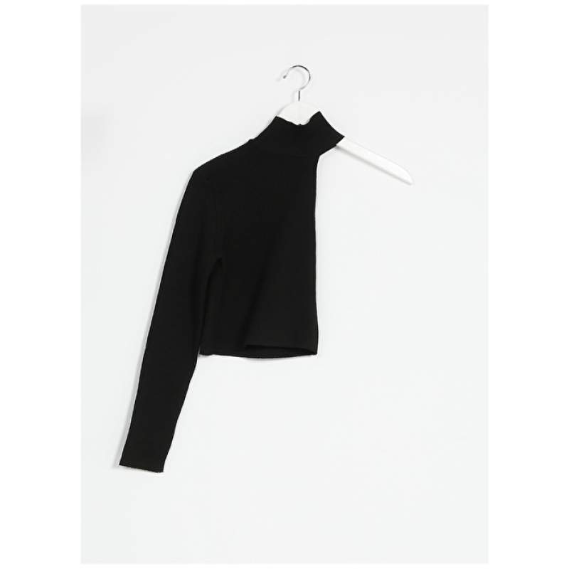Factory Straight Collar Plain Black Women's Sweater ASEL