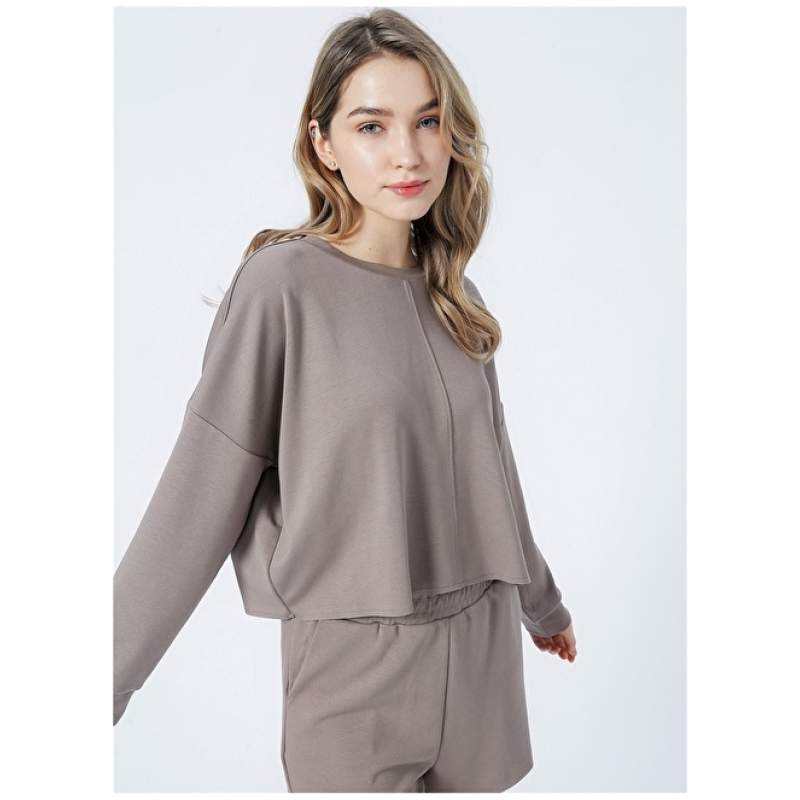 Factory Crew Neck Plain Mink Women's Sweatshirt K-HW-21B12