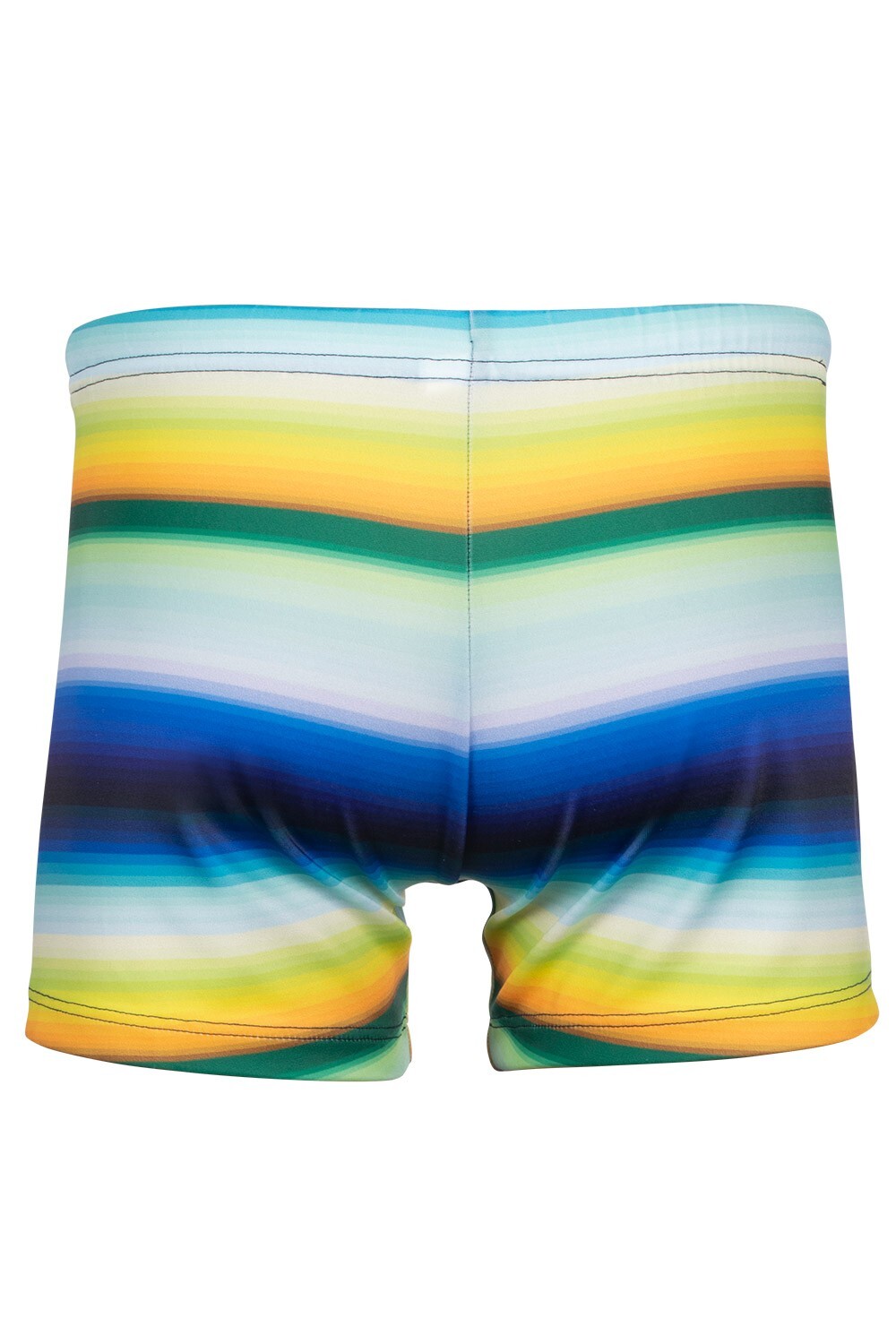 Arizona Boys Striped Shorts Swimwear