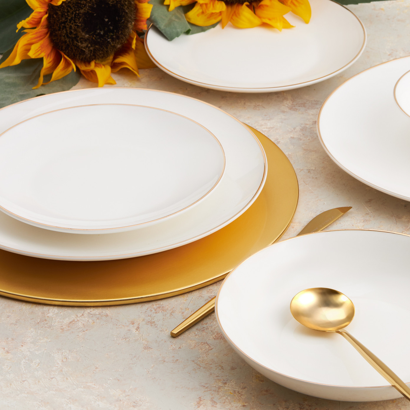 Karaca Alicia 24 Pieces 6 Person Porcelain Gold Round Dinnerware