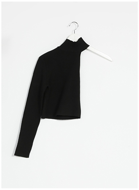 Factory Straight Collar Plain Black Women's Sweater ASEL