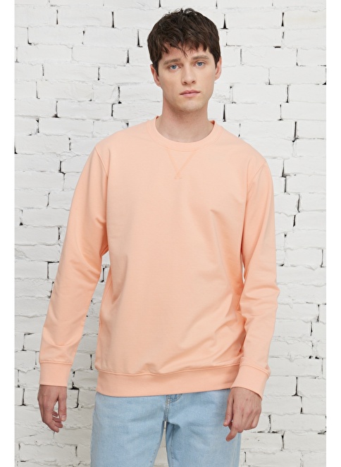 Standard Fit Regular Cut Crew Neck Sweatshirt