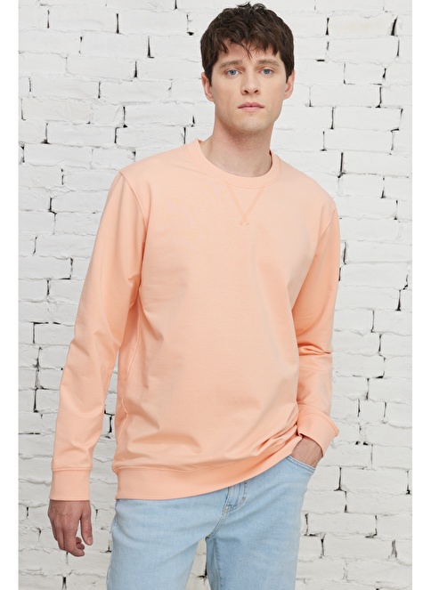 Standard Fit Regular Cut Crew Neck Sweatshirt